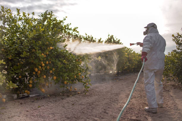 Best Residential Pest Control  in North Falmouth, MA