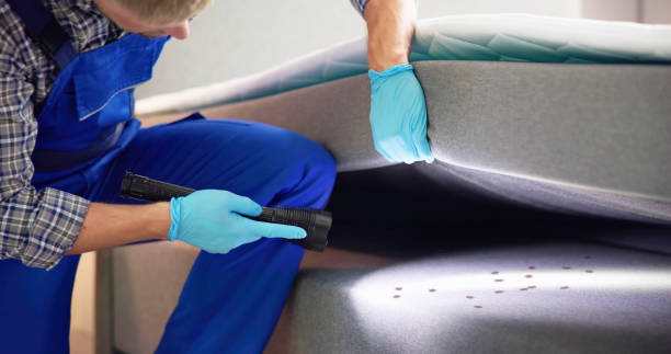 Best Flea Control Services  in North Falmouth, MA